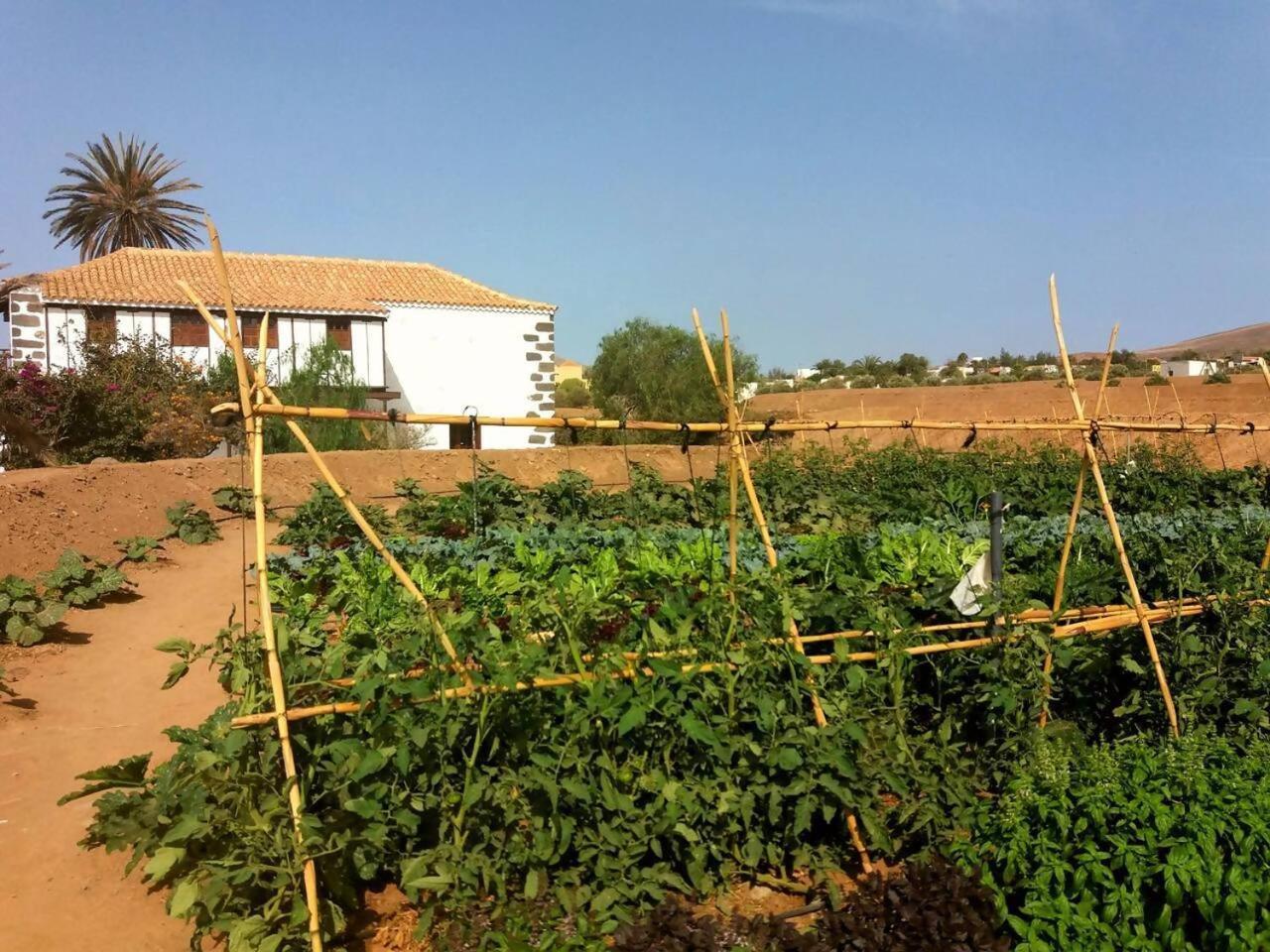 Rural Rugama Villa Puerto del Rosario  Exterior photo